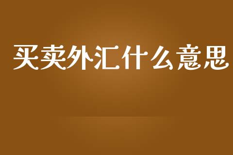 买卖外汇什么意思_https://www.apanben.com_股市分析_第1张