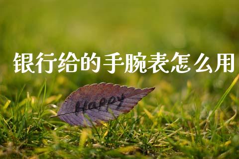 银行给的手腕表怎么用_https://www.apanben.com_期货学院_第1张