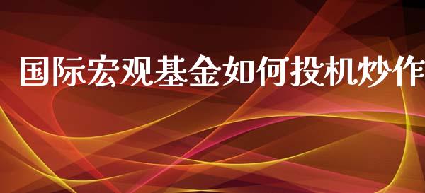 国际宏观基金如何投机炒作_https://www.apanben.com_期货学院_第1张