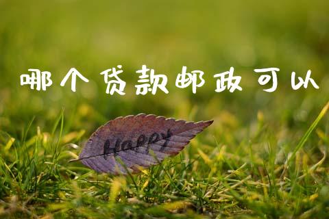 哪个贷款邮政可以_https://www.apanben.com_股票怎么玩_第1张