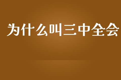 为什么叫三中全会_https://www.apanben.com_国际财经_第1张