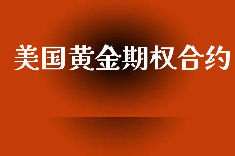 美国黄金期权合约_https://www.apanben.com_国际财经_第1张