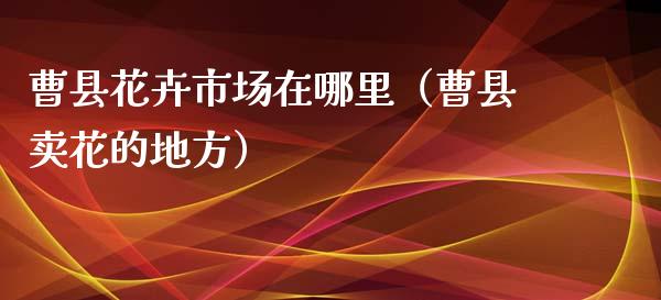曹县花卉市场在哪里（曹县卖花的地方）_https://www.apanben.com_期货学院_第1张
