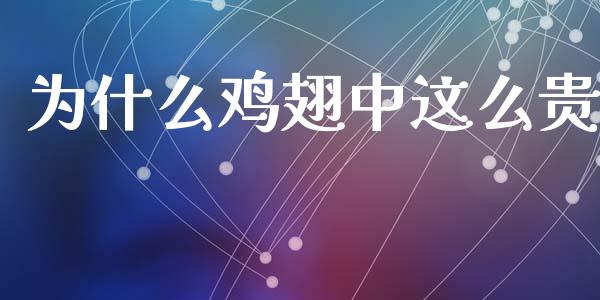 为什么鸡翅中这么贵_https://www.apanben.com_期货学院_第1张