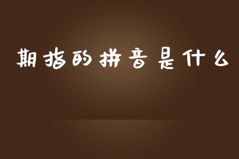 期指的拼音是什么_https://www.apanben.com_国际期货_第1张