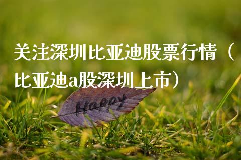 关注深圳比亚迪股票行情（比亚迪a股深圳上市）_https://www.apanben.com_股市分析_第1张