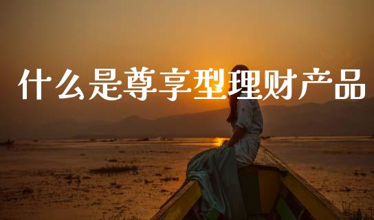 什么是尊享型理财产品_https://www.apanben.com_国际期货_第1张