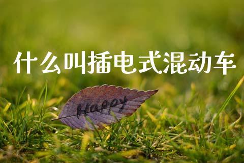 什么叫插电式混动车_https://www.apanben.com_期货学院_第1张