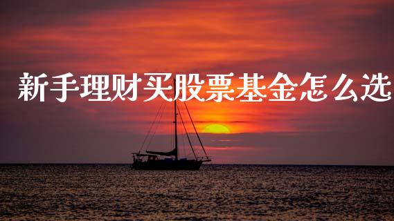 新手理财买股票基金怎么选_https://www.apanben.com_国际财经_第1张