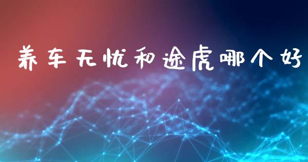 养车无忧和途虎哪个好_https://www.apanben.com_期货学院_第1张