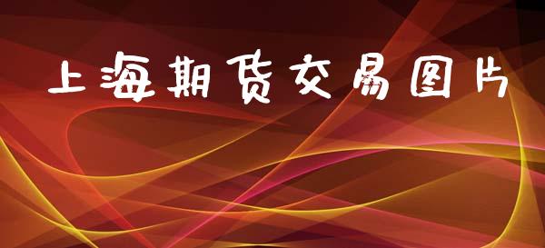 上海期货交易图片_https://www.apanben.com_期货学院_第1张