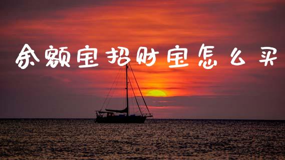 余额宝招财宝怎么买_https://www.apanben.com_期货学院_第1张