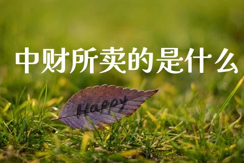 中财所卖的是什么_https://www.apanben.com_国际期货_第1张