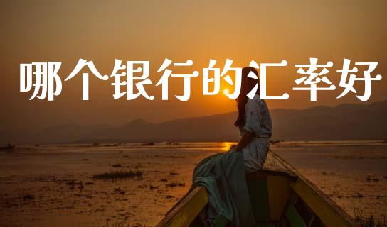 哪个银行的汇率好_https://www.apanben.com_财经资讯_第1张