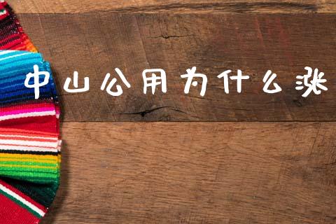 中山公用为什么涨_https://www.apanben.com_股票怎么玩_第1张