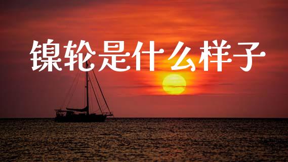 镍轮是什么样子_https://www.apanben.com_在线喊单_第1张