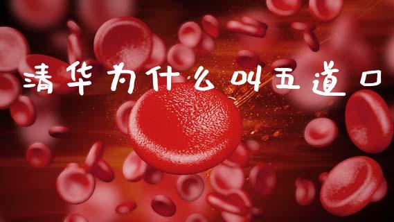 清华为什么叫五道口_https://www.apanben.com_国际期货_第1张