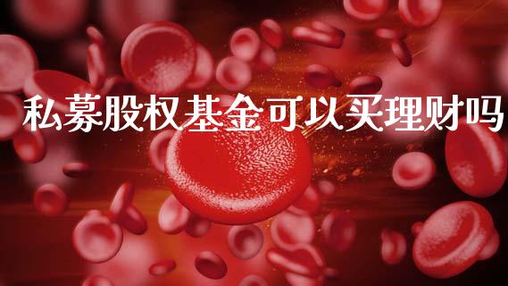 私募股权基金可以买理财吗_https://www.apanben.com_国际财经_第1张