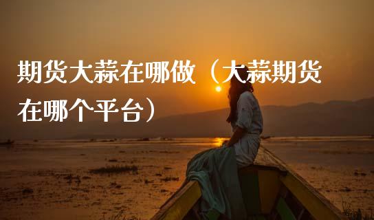 期货大蒜在哪做（大蒜期货在哪个平台）_https://www.apanben.com_期货学院_第1张