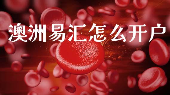 澳洲易汇怎么开户_https://www.apanben.com_国际期货_第1张
