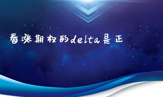 看涨期权的delta是正_https://www.apanben.com_国际财经_第1张