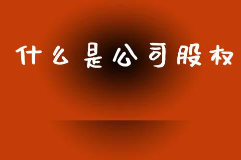 什么是公司股权_https://www.apanben.com_国际期货_第1张