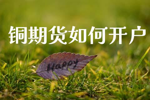 铜期货如何开户_https://www.apanben.com_股票怎么玩_第1张