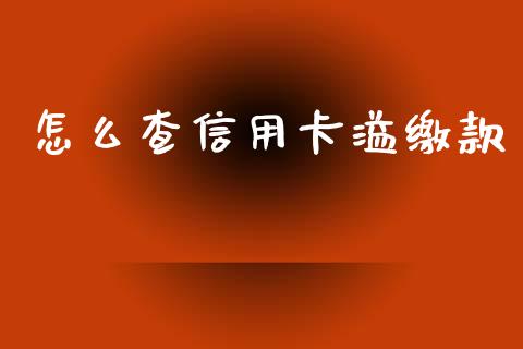 怎么查信用卡溢缴款_https://www.apanben.com_期货学院_第1张
