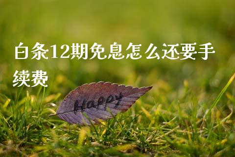 白条12期免息怎么还要手续费_https://www.apanben.com_国际财经_第1张