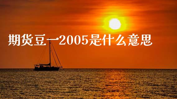 期货豆一2005是什么意思_https://www.apanben.com_财经资讯_第1张