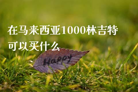 在马来西亚1000林吉特可以买什么_https://www.apanben.com_股市分析_第1张