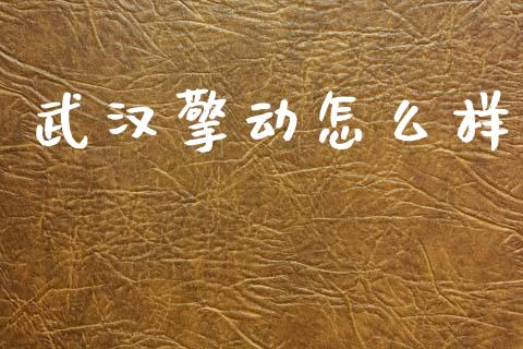 武汉擎动怎么样_https://www.apanben.com_国际财经_第1张