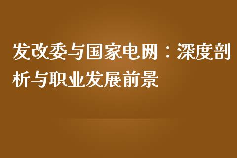 发改委与国家电网：深度剖析与职业发展前景_https://www.apanben.com_在线喊单_第1张