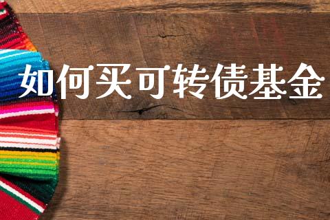 如何买可转债基金_https://www.apanben.com_在线喊单_第1张