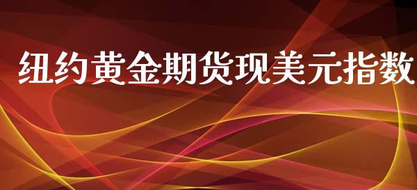 纽约黄金期货现美元指数_https://www.apanben.com_期货学院_第1张