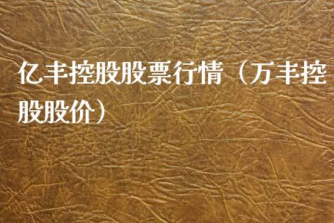 亿丰控股股票行情（万丰控股股价）_https://www.apanben.com_股市指导_第1张