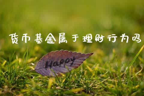 货币基金属于理财行为吗_https://www.apanben.com_国际财经_第1张