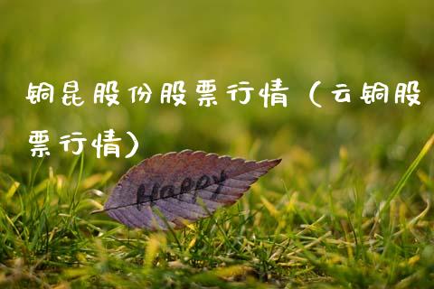 铜昆股份股票行情（云铜股票行情）_https://www.apanben.com_股市分析_第1张