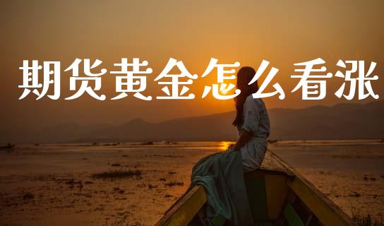 期货黄金怎么看涨_https://www.apanben.com_期货学院_第1张