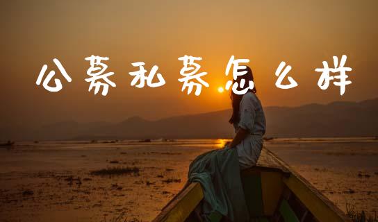 公募私募怎么样_https://www.apanben.com_股票怎么玩_第1张