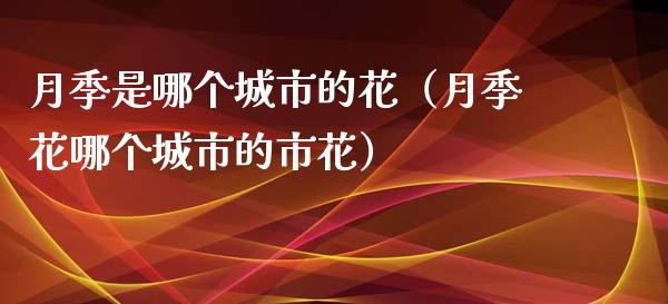 月季是哪个城市的花（月季花哪个城市的市花）_https://www.apanben.com_国际期货_第1张