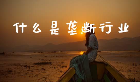 什么是垄断行业_https://www.apanben.com_国际财经_第1张