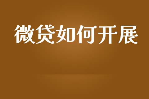 微贷如何开展_https://www.apanben.com_财经资讯_第1张
