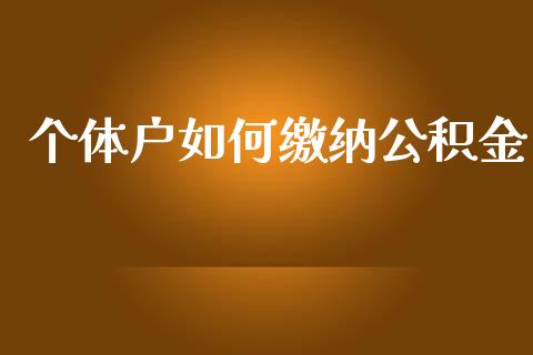 个体户如何缴纳公积金_https://www.apanben.com_国际期货_第1张