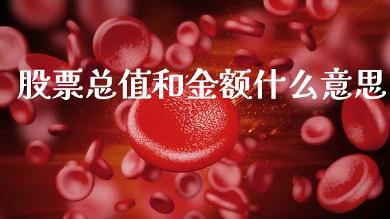 股票总值和金额什么意思_https://www.apanben.com_期货学院_第1张