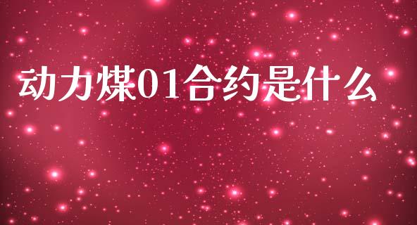 动力煤01合约是什么_https://www.apanben.com_期货学院_第1张