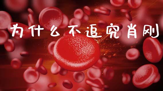 为什么不追究肖刚_https://www.apanben.com_股市分析_第1张