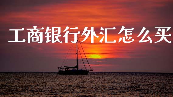 工商银行外汇怎么买_https://www.apanben.com_国际财经_第1张