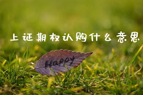 上证期权认购什么意思_https://www.apanben.com_期货学院_第1张