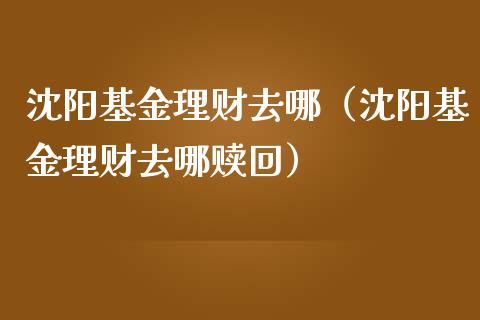 沈阳基金理财去哪（沈阳基金理财去哪赎回）_https://www.apanben.com_国际财经_第1张
